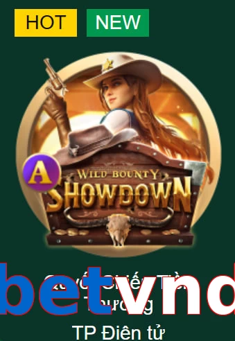 betvnd